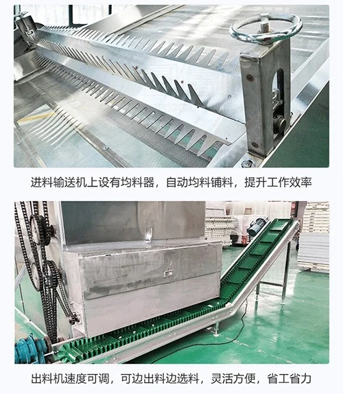 煤柴热源网带烘干机 (3).gif