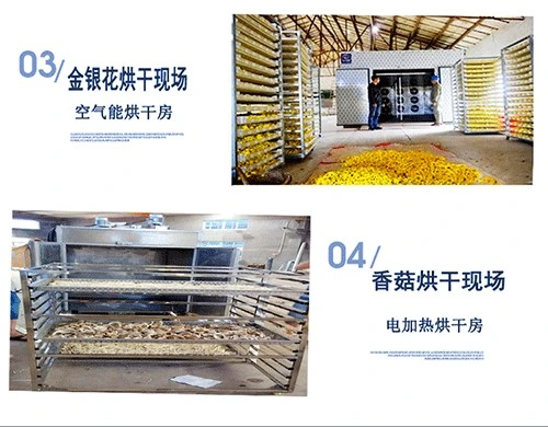 煤柴热源网带烘干机 (5).gif